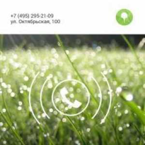 2Gis dialer