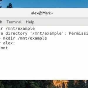 5 Команд linux для початківців
