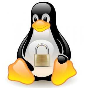 7 Переваг linux