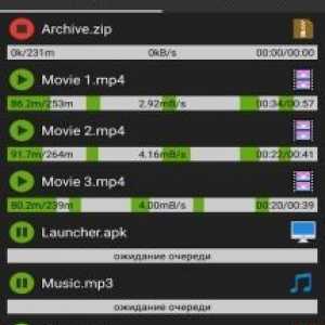 Advanced download manager