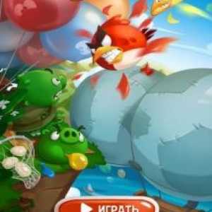Angry birds blast