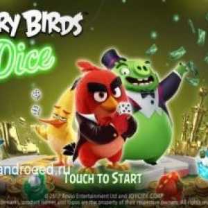 Angry birds: dice