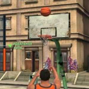 Basketball stars