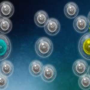 Biotix: phage genesis