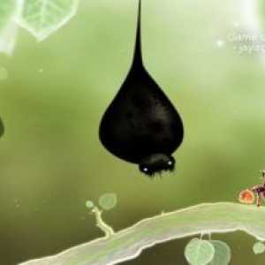 Botanicula