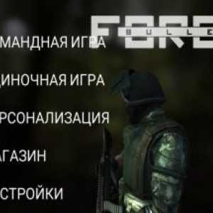 Bullet force