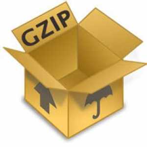 Що таке gzip