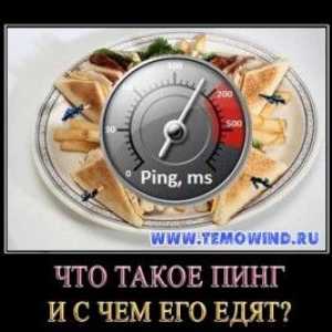 Що таке пінг і з чим його їдять?