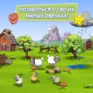 Clouds & sheep 2