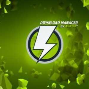 Download manager
