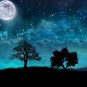Dream night pro