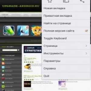 Flashfox - flash browser