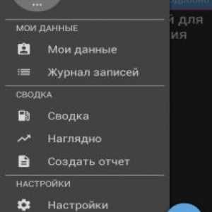 Fuel manager