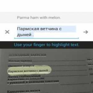Google translate