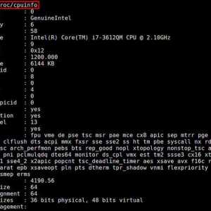 Характеристики процесора в linux