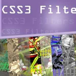 Ефект сірого відтінку на css.