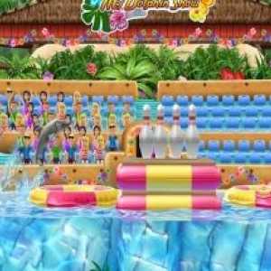 My dolphin show