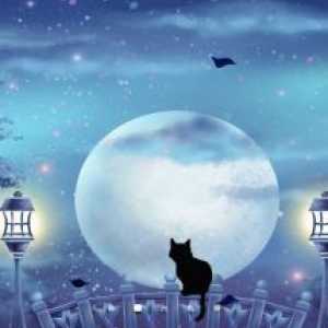 Mystic night