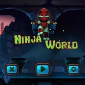 Ninja world in turtles