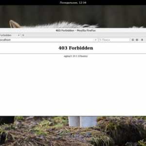 Помилка 403 forbidden nginx 1.4 6 ubuntu