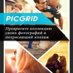 Picgrid