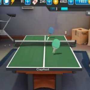 Ping pong masters