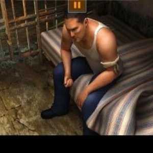 Prison break: lockdown