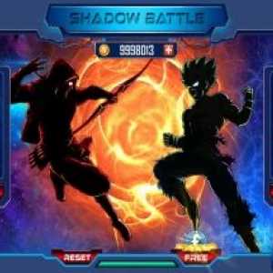 Shadow battle