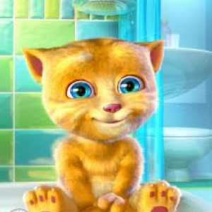 Talking ginger