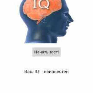Тест iq