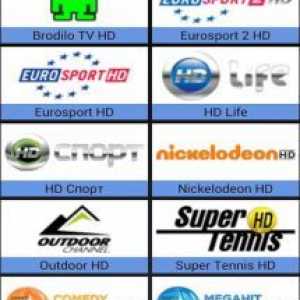 Torrent controller