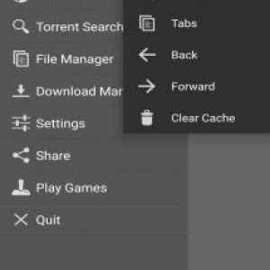 Torrent movie downloader