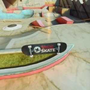 True skate