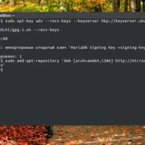 Установка mysql ubuntu 16.04