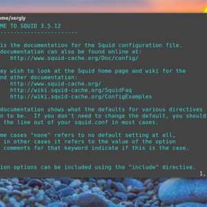 Установка squid в ubuntu 16.04