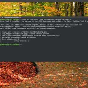 Установка sublime text 3 ubuntu 16.04