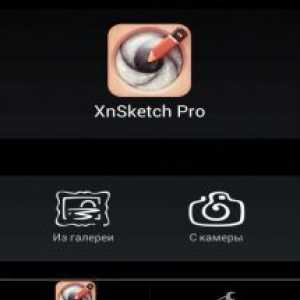 Xnsketch