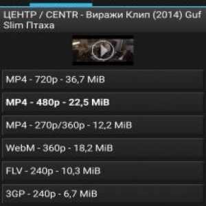 Youtube downloader